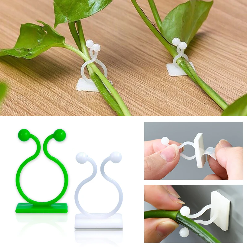 Wall Anchor Plastic - Mur d'escalade pour plantes, fixation à