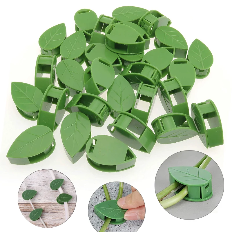 Dispositif d'escalade mural in - Wall Anchor Plastic avis et prix