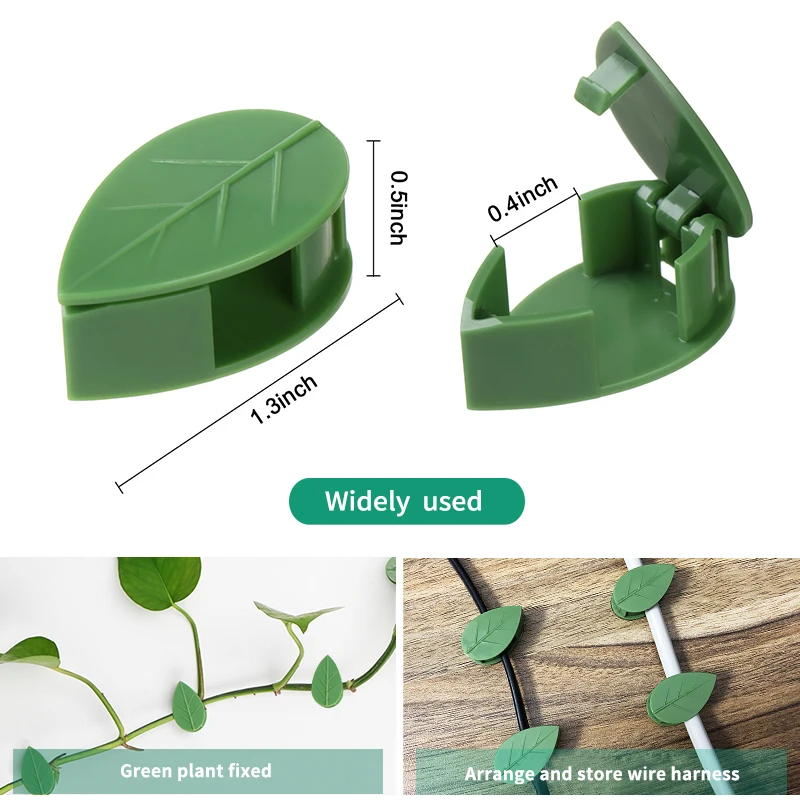 Dispositif d'escalade mural in - Wall Anchor Plastic avis et prix