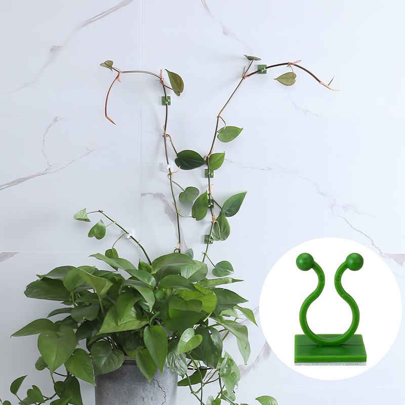 100 pièces-maison plante grimp - Wall Anchor Plastic avis et prix